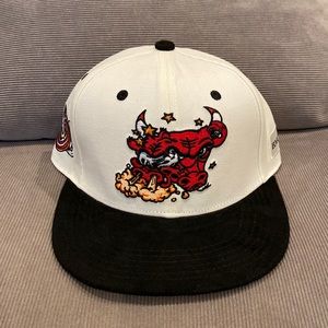 NEW Chicago Bulls Hat